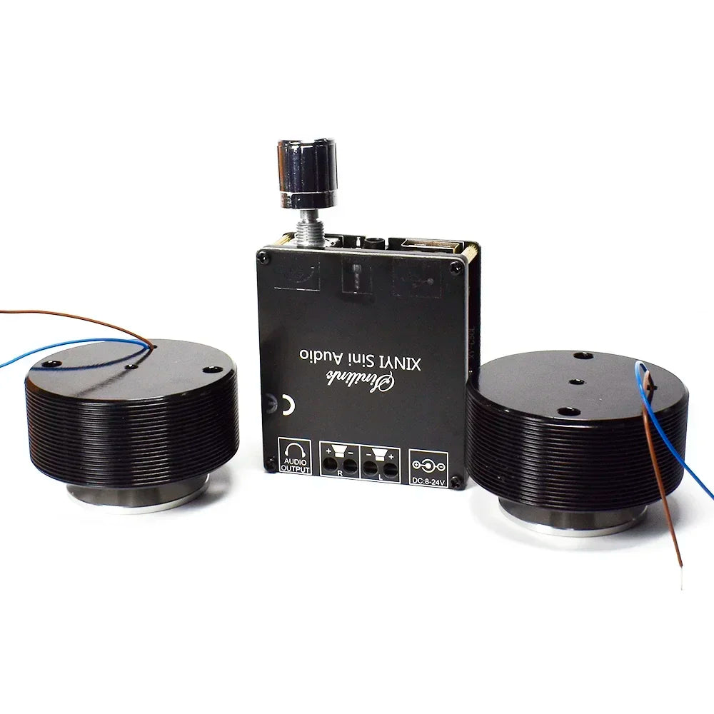 Enceinte vibrante HIFI 50W portable - Novaget